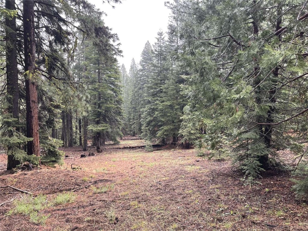 0 Range Road Property Photo 33