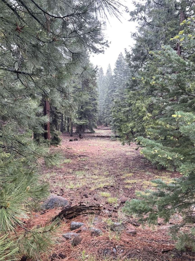0 Range Road Property Photo 35
