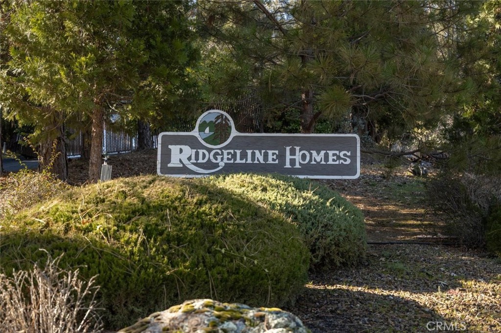 50850 Smoke Tree Property Photo 63