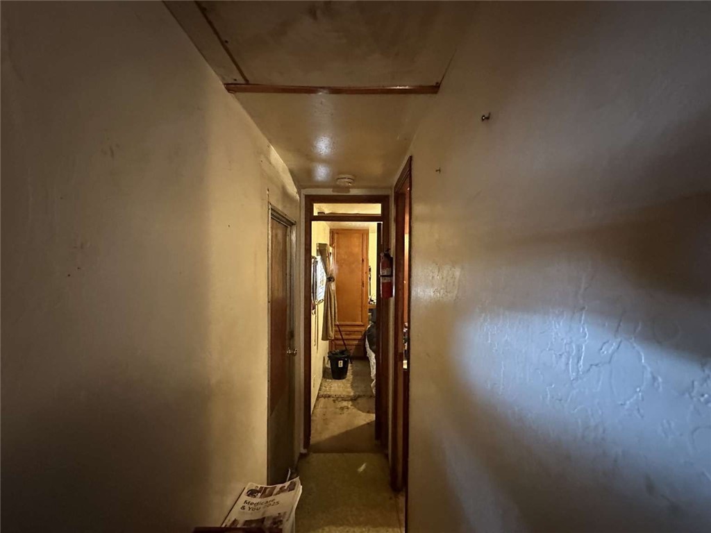 87 Niland Avenue Property Photo 9