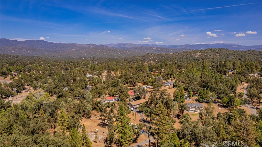 45453 N Oakview Property Photo 71