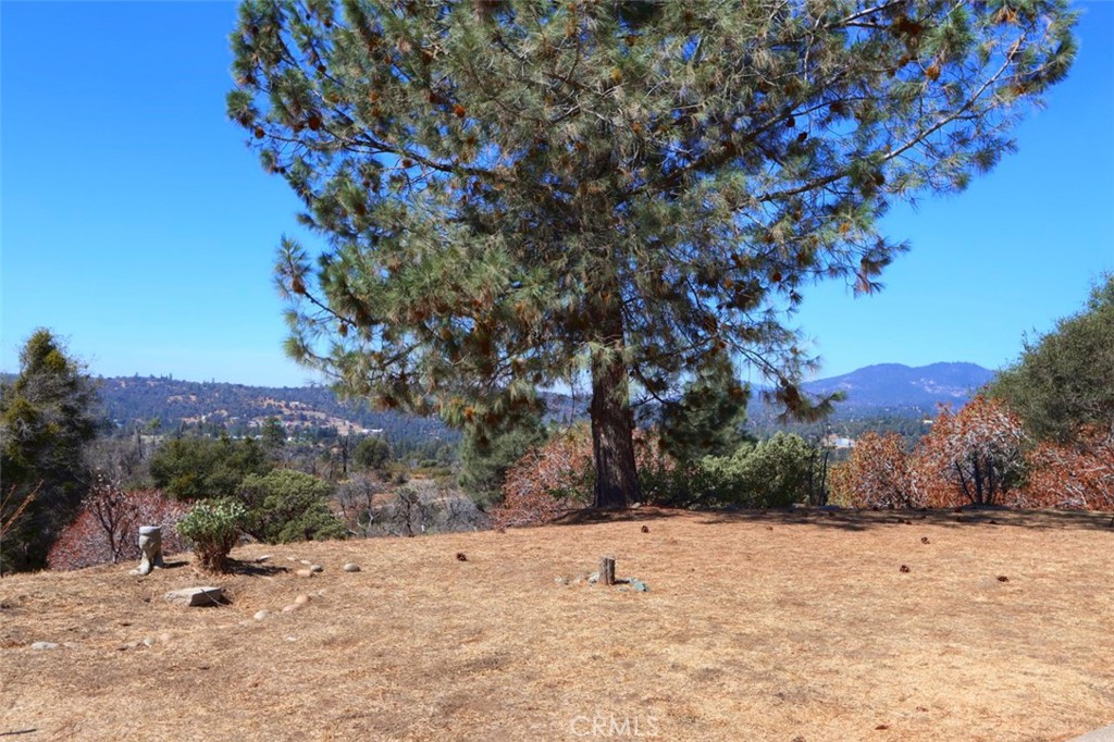 33030 Road 233 Property Photo 37