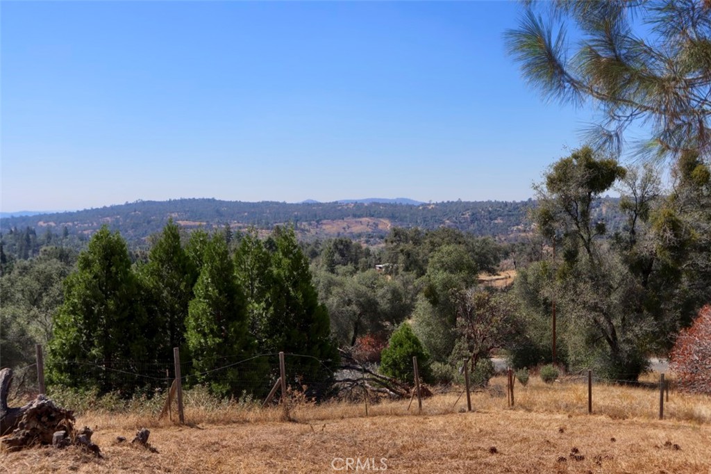 33030 Road 233 Property Photo 38