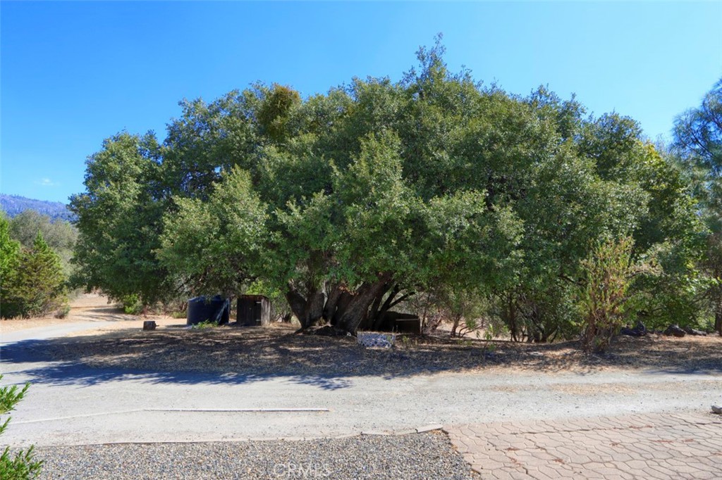33030 Road 233 Property Photo 42