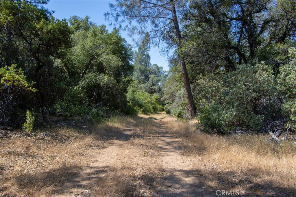 47850 Road 620 Property Photo 3