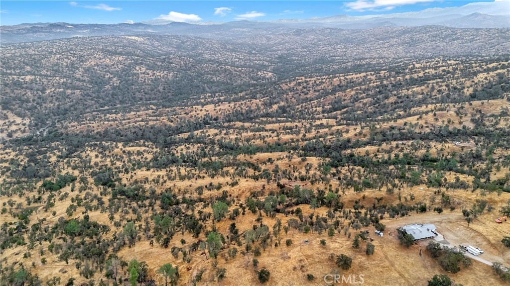 84 Acres Kit Fox Trail Road Property Photo 5