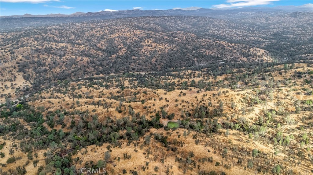 84 Acres Kit Fox Trail Road Property Photo 10
