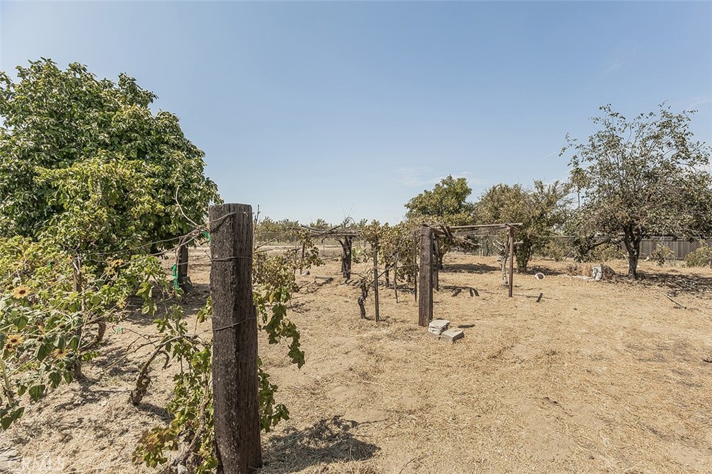 9016 E Dinuba Property Photo 53