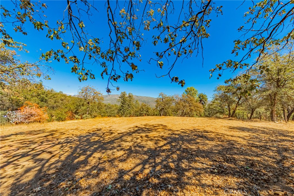 8 Blackberry Trail Property Photo 1