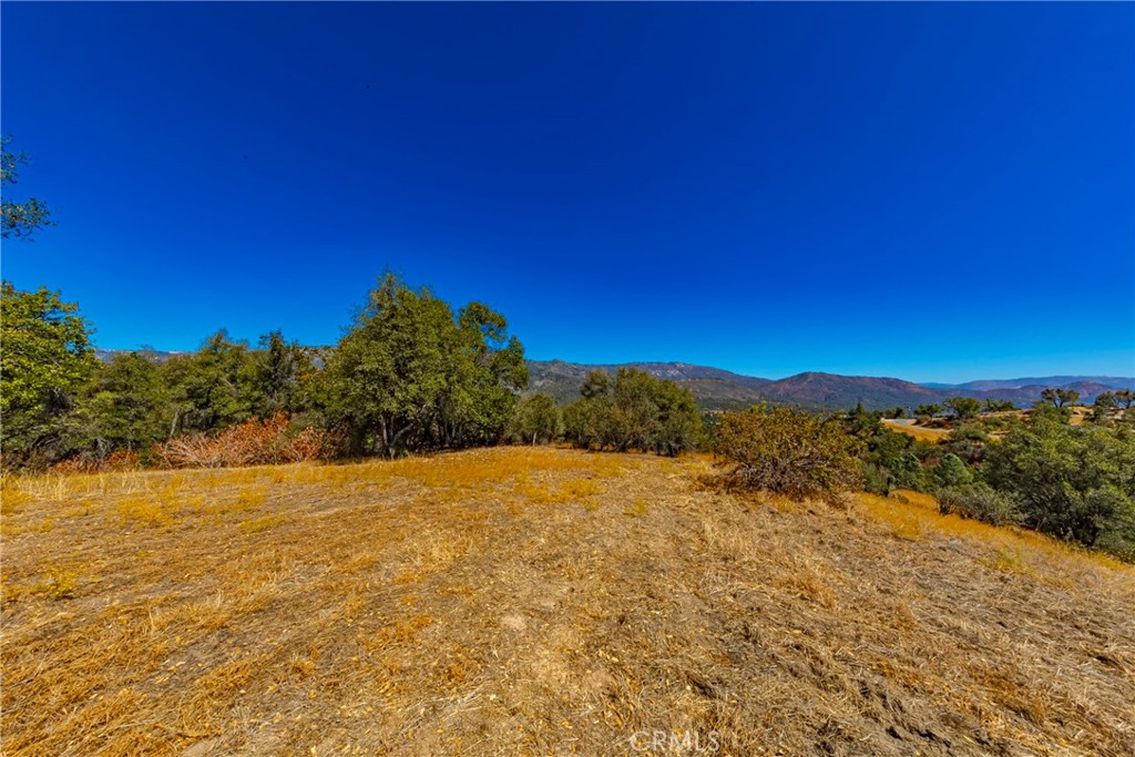 8 Blackberry Trail Property Photo 2