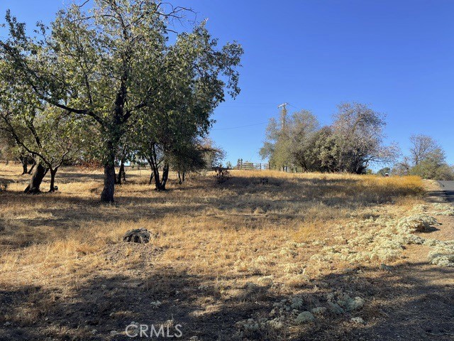 8 Blackberry Trail Property Photo 5