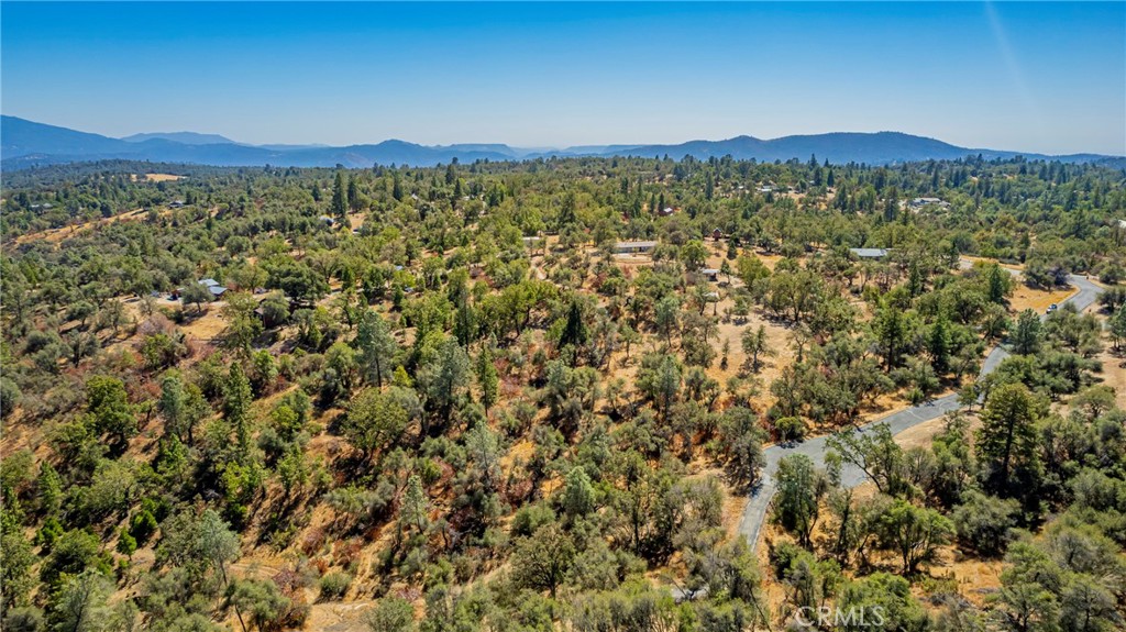 8 Blackberry Trail Property Photo 6