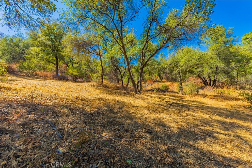 8 Blackberry Trail Property Photo 9