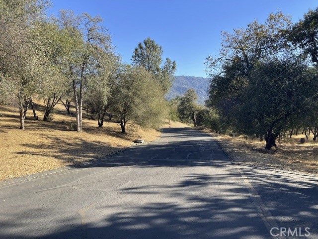 6 Blackberry Trail Property Photo 1