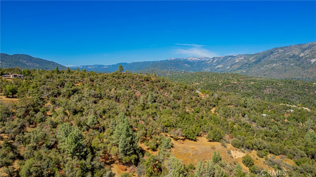 6 Blackberry Trail Property Photo 2