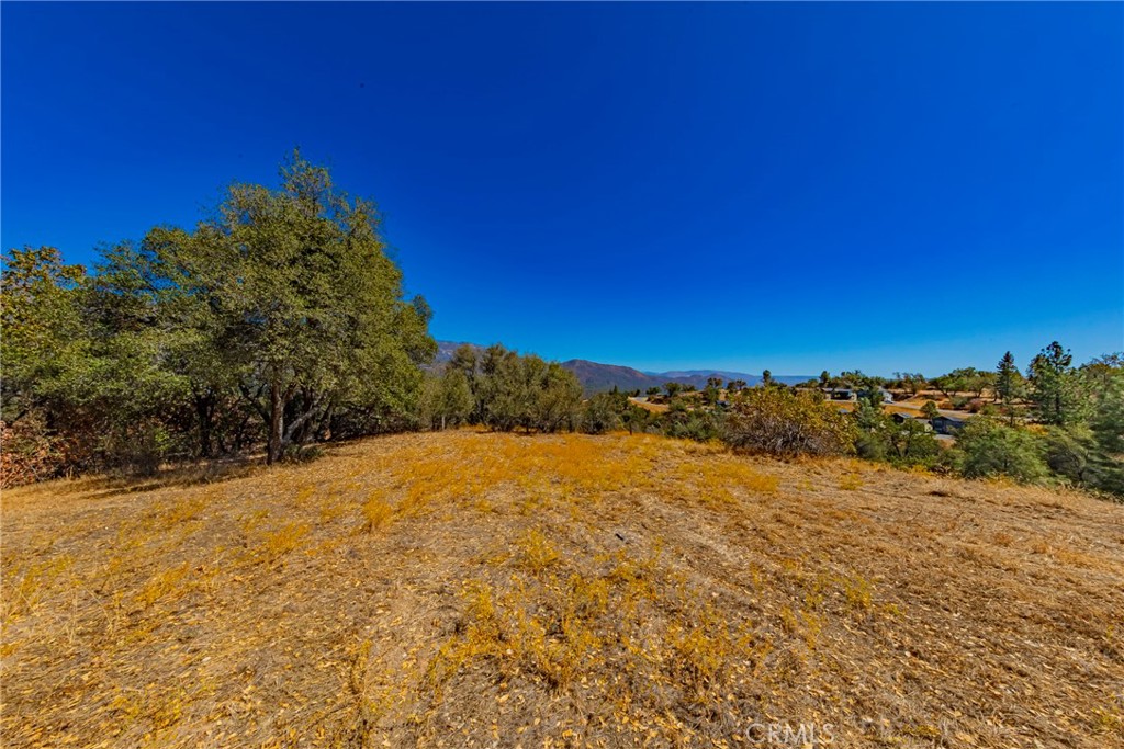 6 Blackberry Trail Property Photo 5