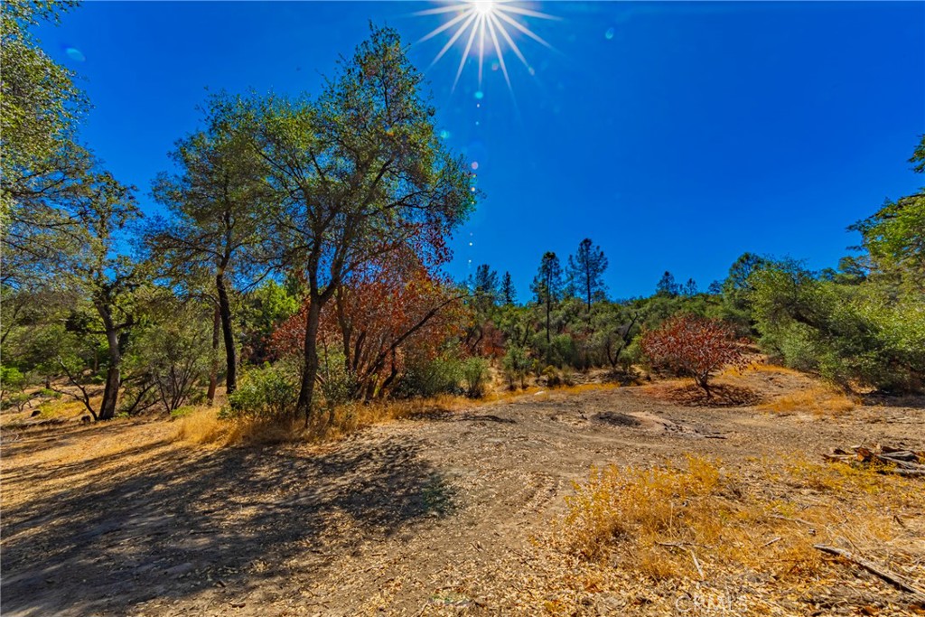 6 Blackberry Trail Property Photo 7