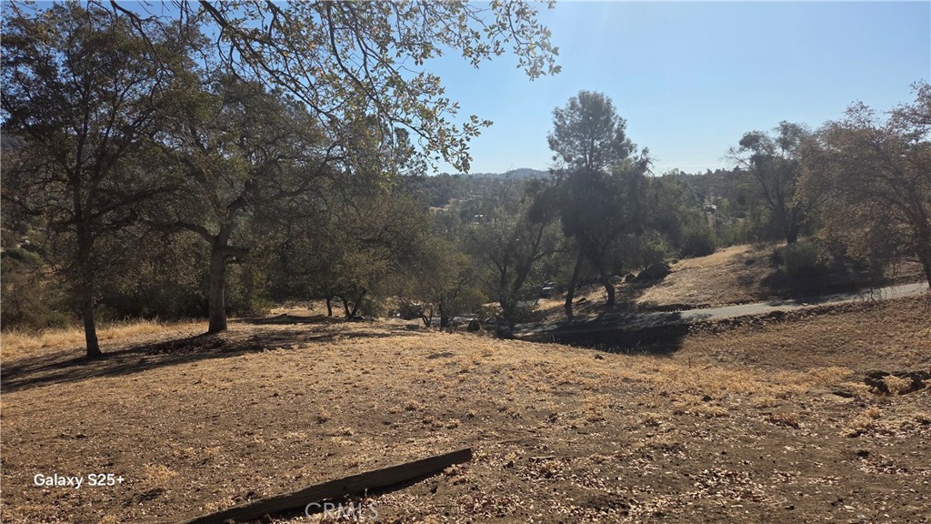 29573 Jim Bowie Ct Property Photo 14
