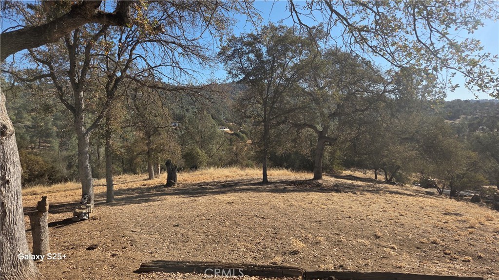 29573 Jim Bowie Ct Property Photo 15