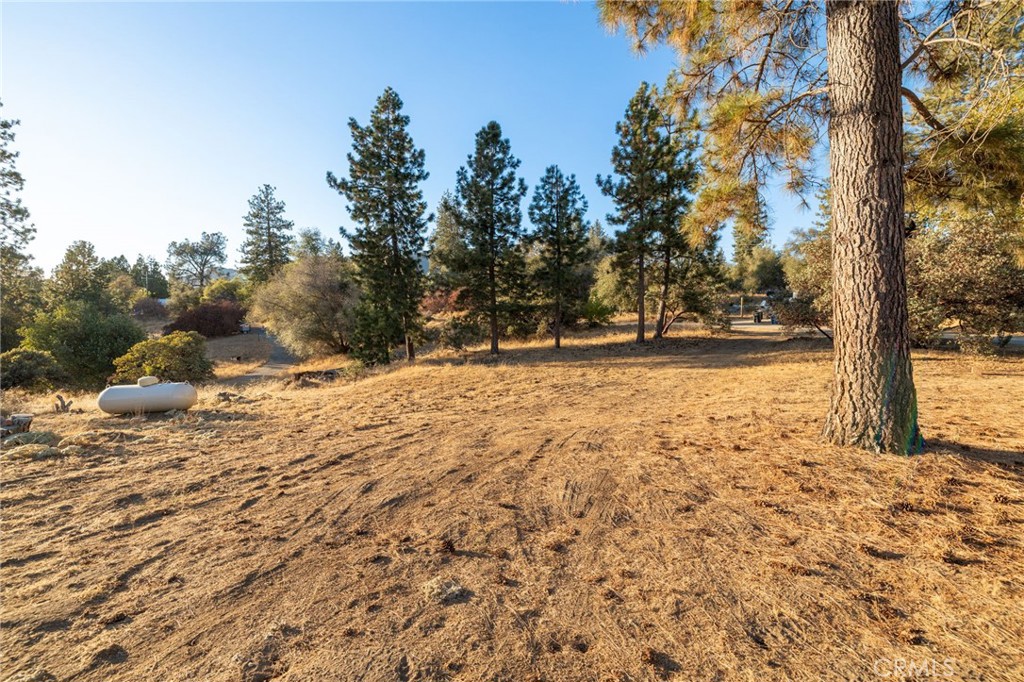 58635 Road 601 Property Photo 49