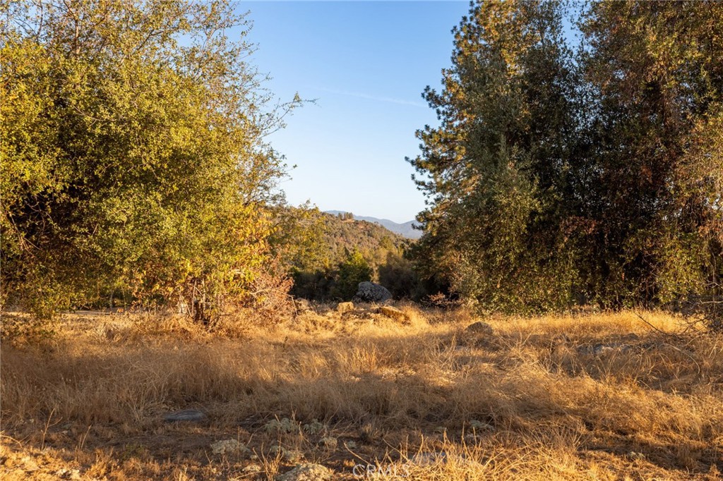 58635 Road 601 Property Photo 59