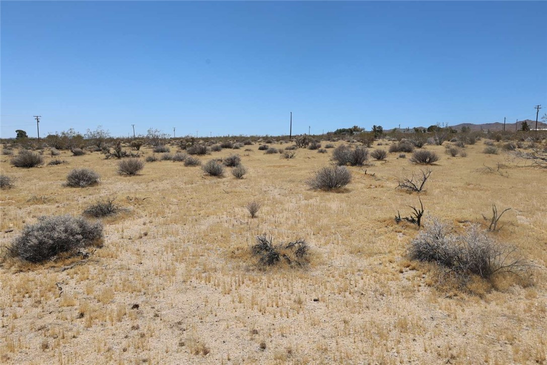 3788 N Deer Trail Property Photo 8