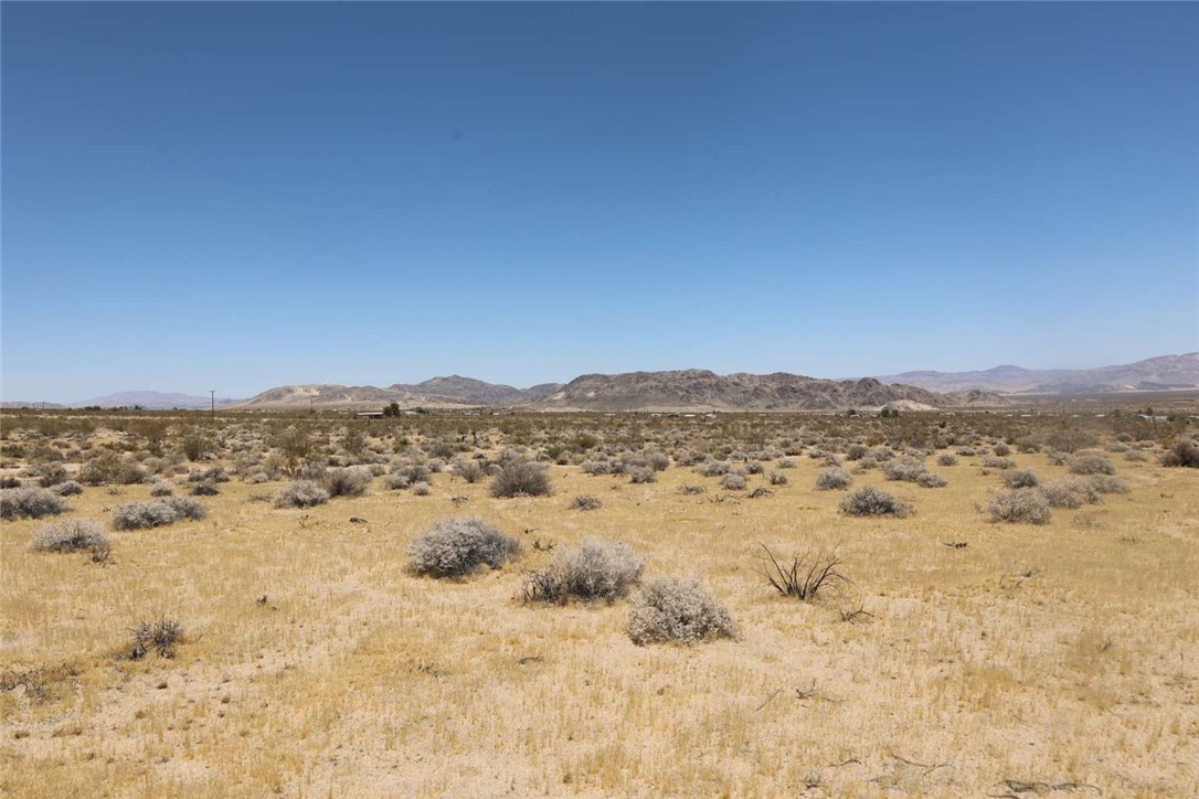 3788 N Deer Trail Property Photo 9