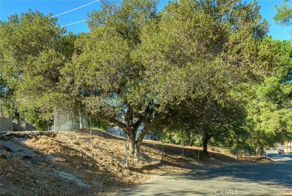 7920 Glenties Way Property Photo 9