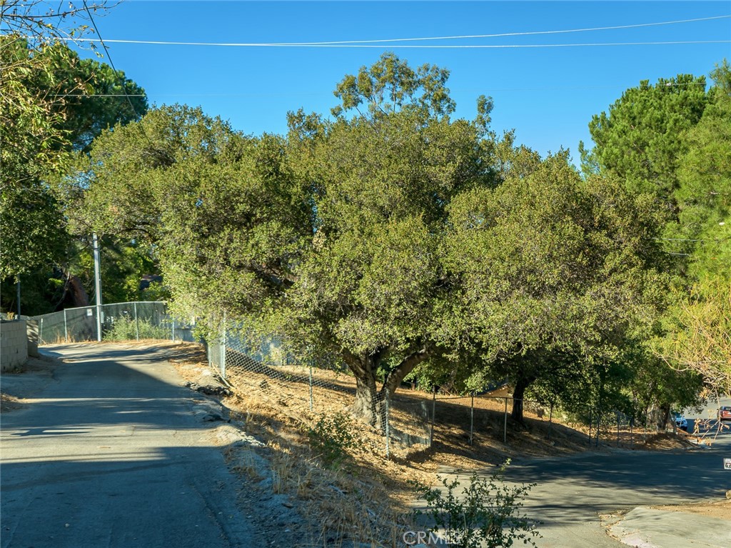 7920 Glenties Way Property Photo 10