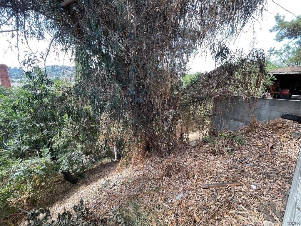 0 Griffin Ave Property Photo