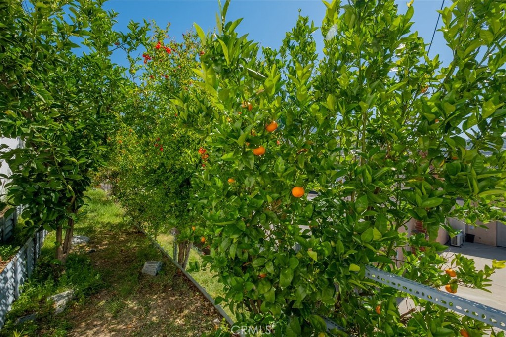 12587 Cathy Street Property Photo 56