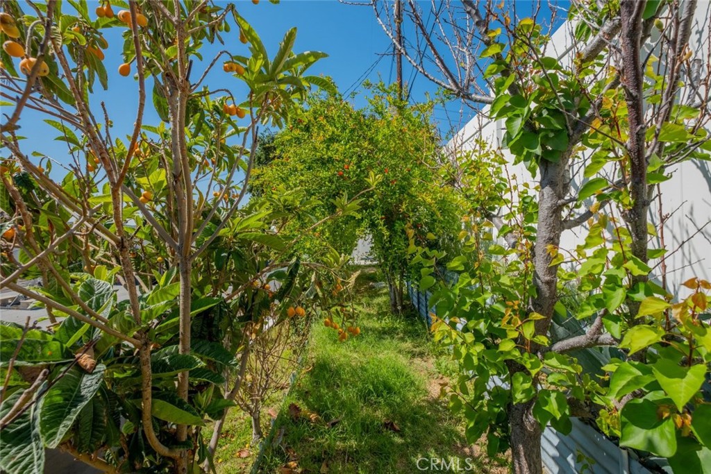 12587 Cathy Street Property Photo 57