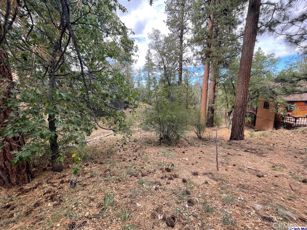 600 Travertine Road Property Photo 2