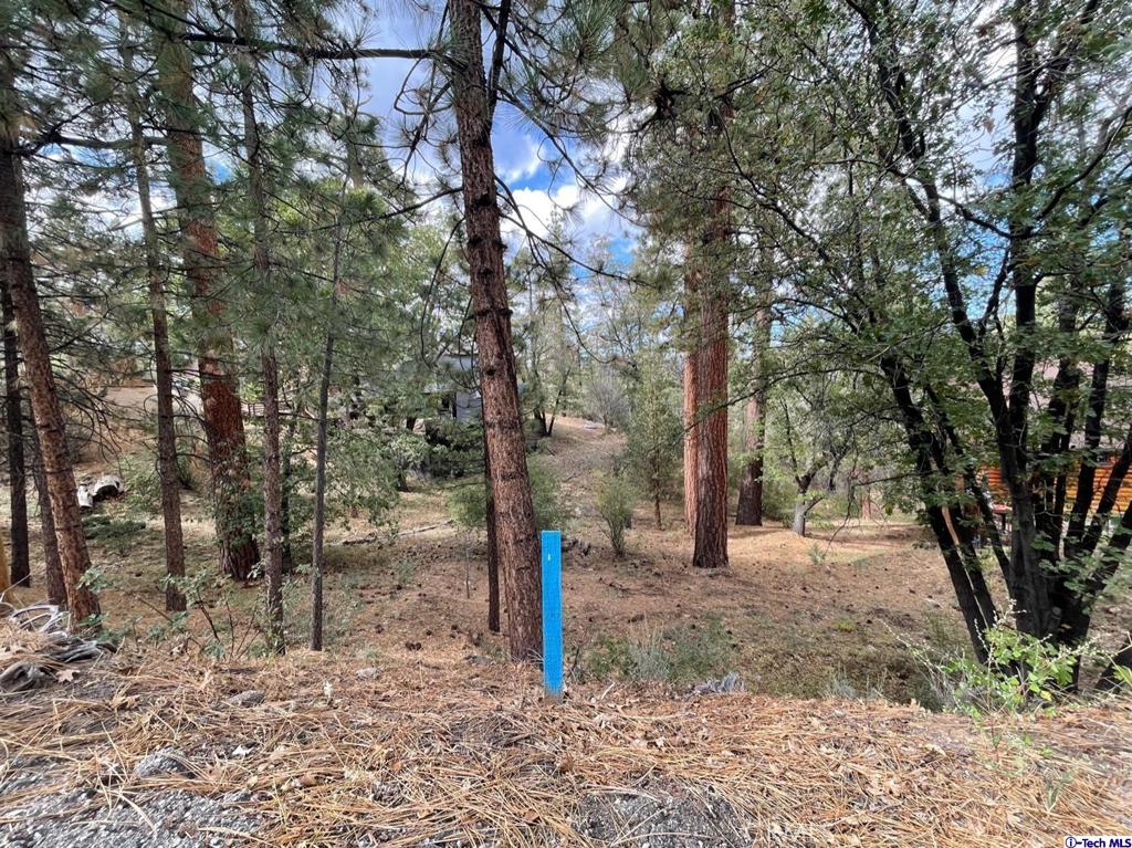 600 Travertine Road Property Photo 4