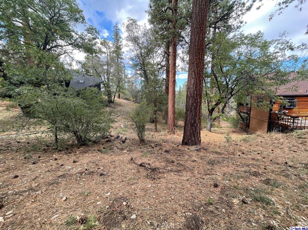 600 Travertine Road Property Photo 5