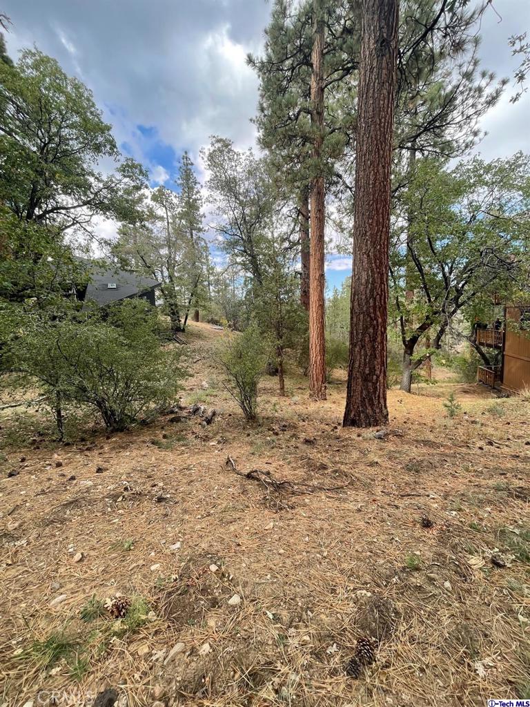 600 Travertine Road Property Photo 6