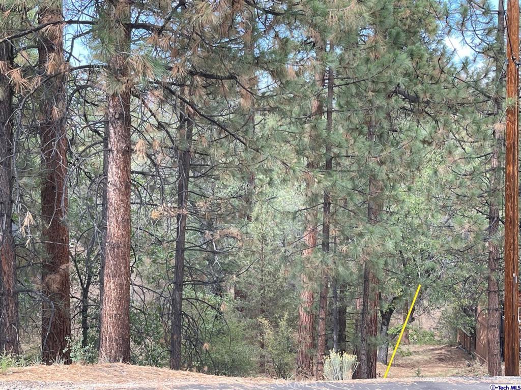 600 Travertine Road Property Photo 8