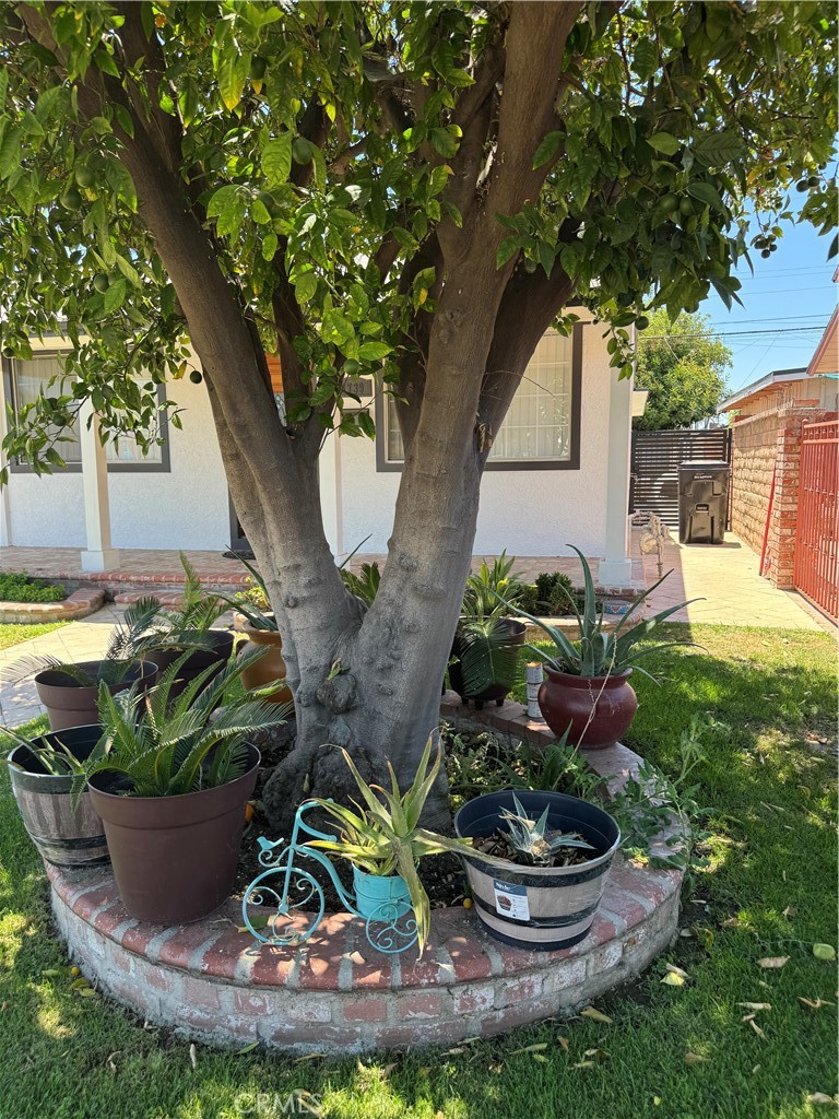 8739 Tyrone Ave Property Photo 43