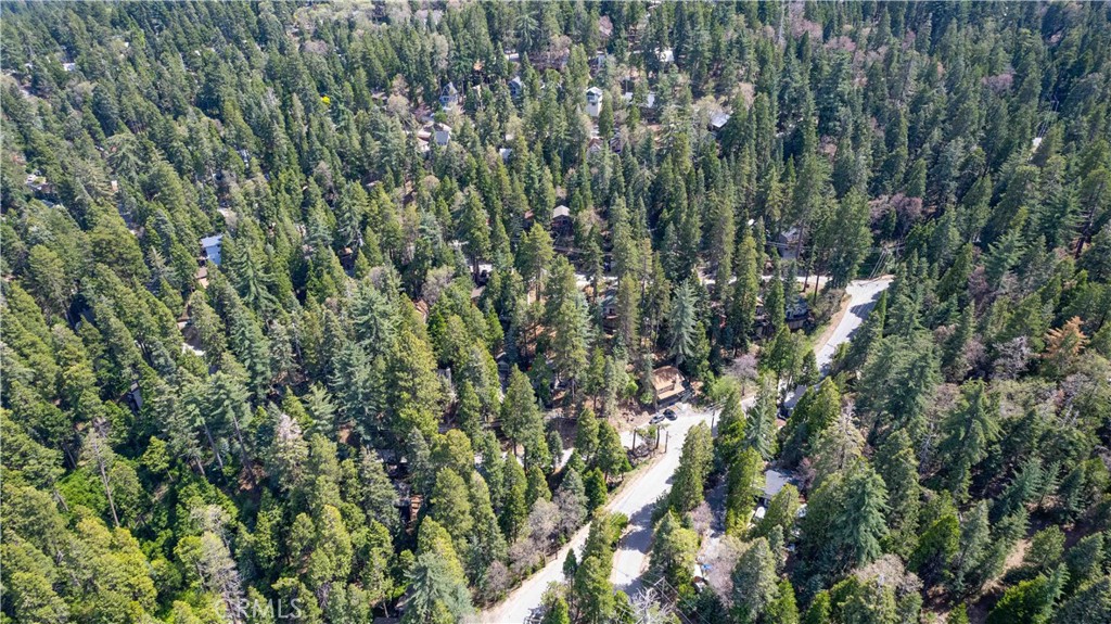26131 Lake Forest Drive Property Photo 20