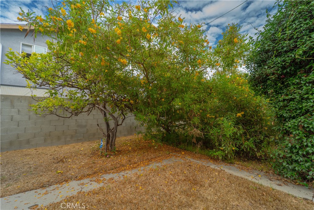 707 West 51st Street Property Photo 37