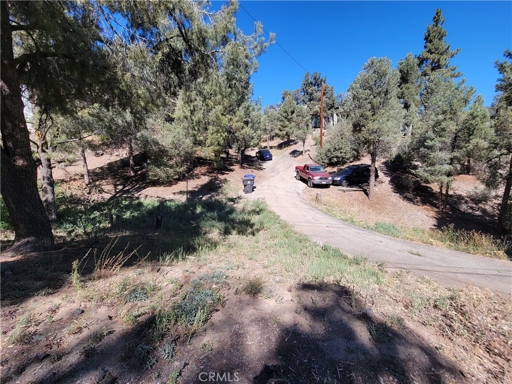 1317 Leisure Lane Property Photo 3