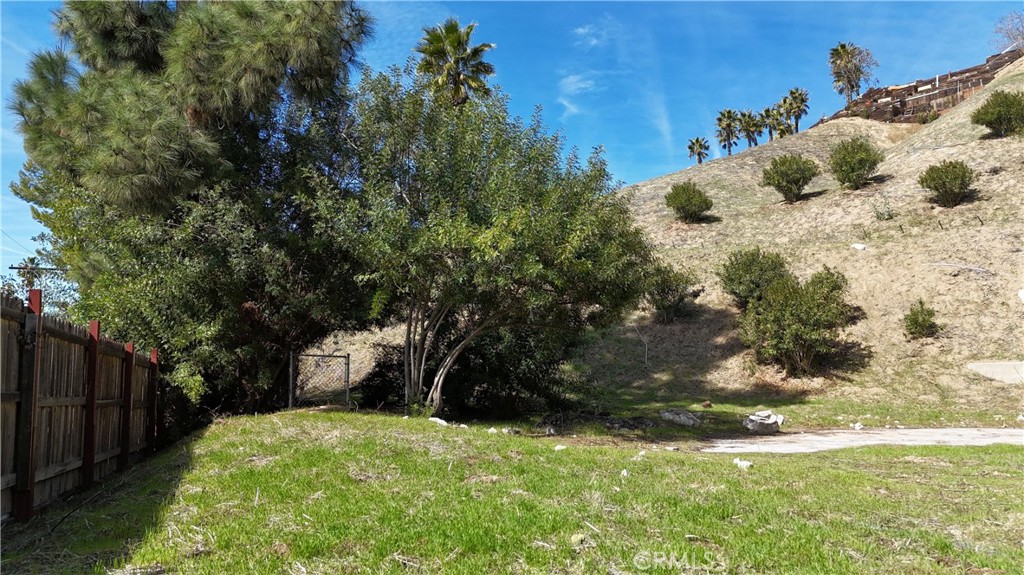 20713 Collins Street Property Photo 5