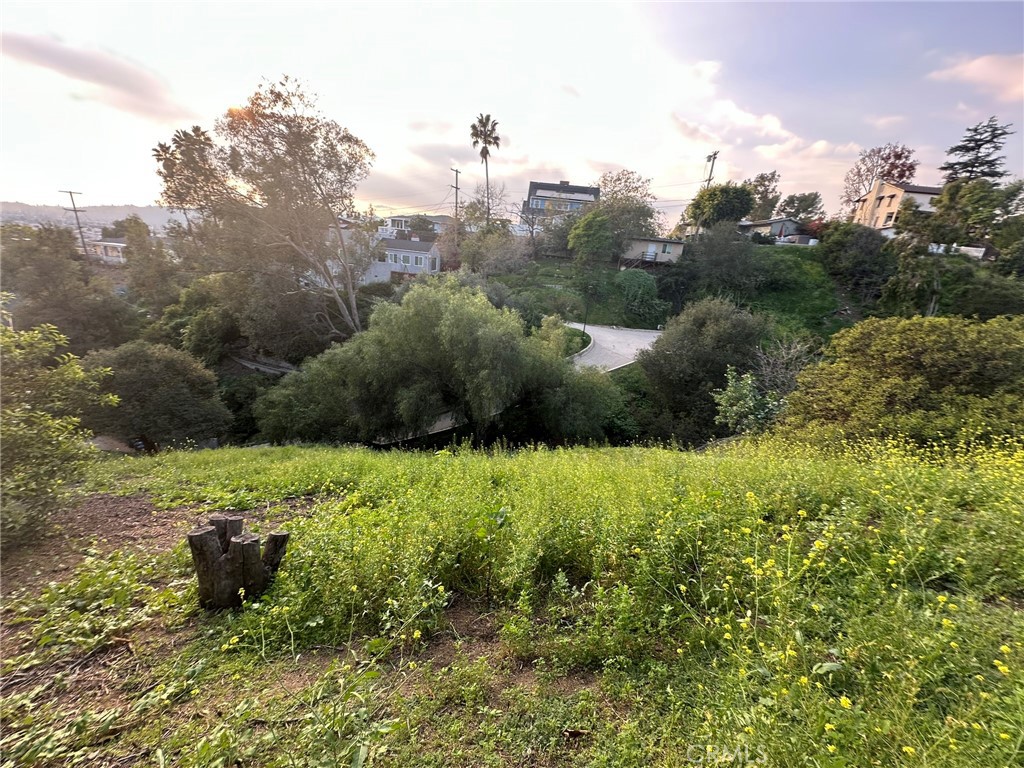 0 Sinclair Avenue Property Photo 8