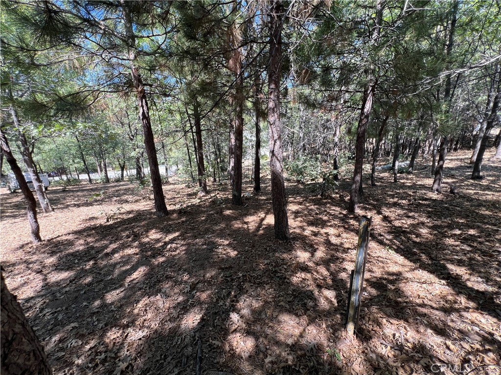 28195 N Bay Road Property Photo 3