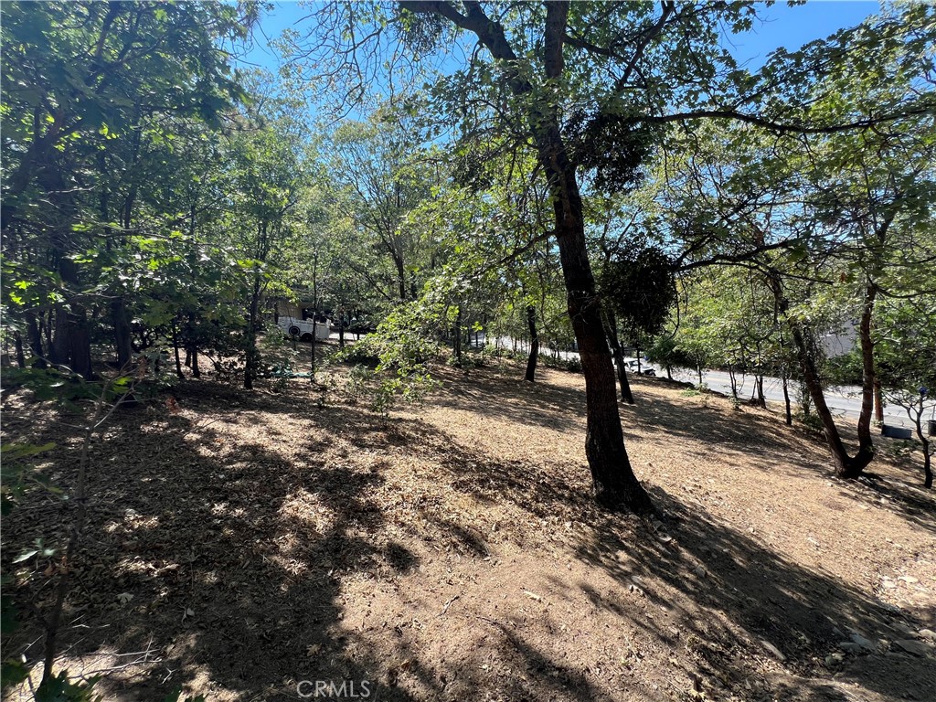 28195 N Bay Road Property Photo 4
