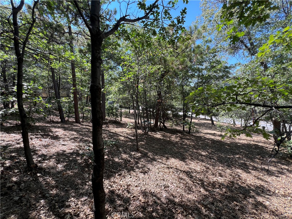 28195 N Bay Road Property Photo 5