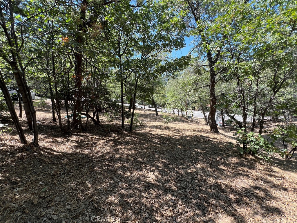 28195 N Bay Road Property Photo 6