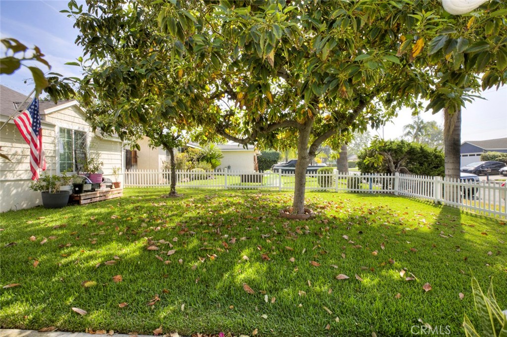 1029 E Galatea Property Photo 6