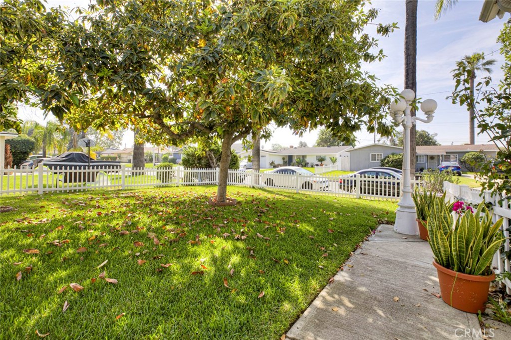 1029 E Galatea Property Photo 9