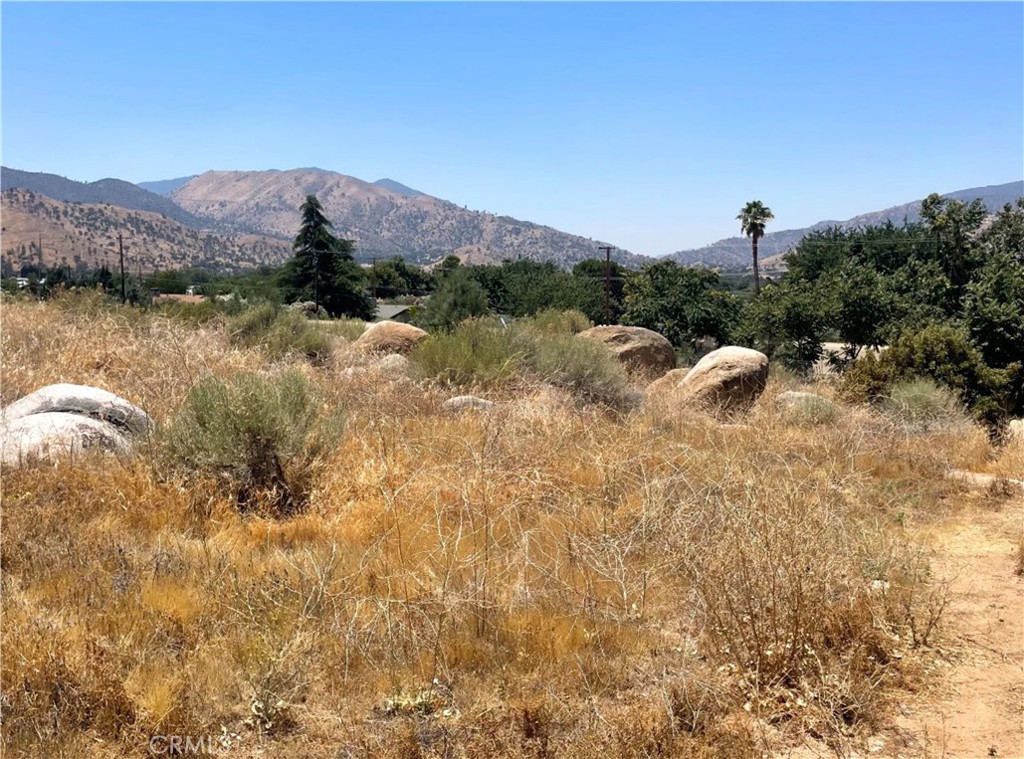 0 Edna Street Property Photo 3